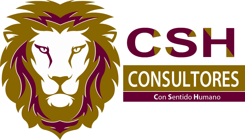 CSH Consultores